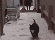 开云体育登录-摩纳哥街道赛巅峰对决，F1焦点战中雷恩车队的血拼逆袭