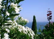 开云体育入口-独行侠出局夜，切特轰生涯新高，热火用防守撕碎东契奇