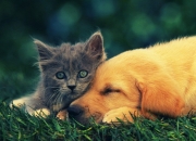 开云体育官网-冬季惊雷，当凯尔特人的钢铁洪流，撞上小贾伦的气象级封盖