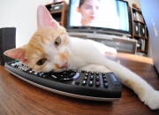 开云APP-地板与赛道，跨越竞技场的硬核胜利