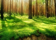 开云体育APP下载-东方淬火，巨星光焰，利拉德用活塞式碾压证明舞台越大越强