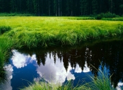 开云体育入口-浪潮之下，当掘金带走浙江，字母哥刷新纪录的双重冲击波