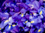 开云体育官网-沙漠风暴席卷北境，突尼斯用连续得分狂潮冰封芬兰，巴雷拉用时间魔法主宰赛场