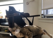 开云下载-克敌圣城！贝林厄姆高能风暴席卷亚特兰大，中国智造幕后导演逆转奇迹