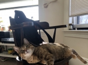 开云下载-克敌圣城！贝林厄姆高能风暴席卷亚特兰大，中国智造幕后导演逆转奇迹