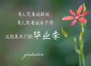 开云-以下是为您构思和撰写的文章