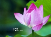 开云体育在线-以下是为您构思的文章标题和内容