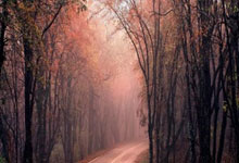 开云体育平台APP-跨越赛场的精神共振，国家德比的窒息缠斗与费城凌晨的钢铁意志