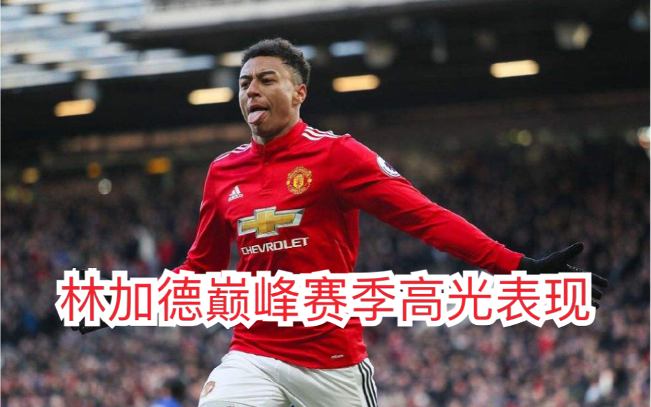 年终总决赛碾压联合杯，蒂姆高光表现