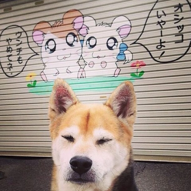 竞技场上的颠覆序曲，山西黑马扬蹄，布克一骑绝尘