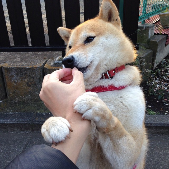 决战秘鲁，卢卡库一锤定音，乌拉圭的南美足球宣言