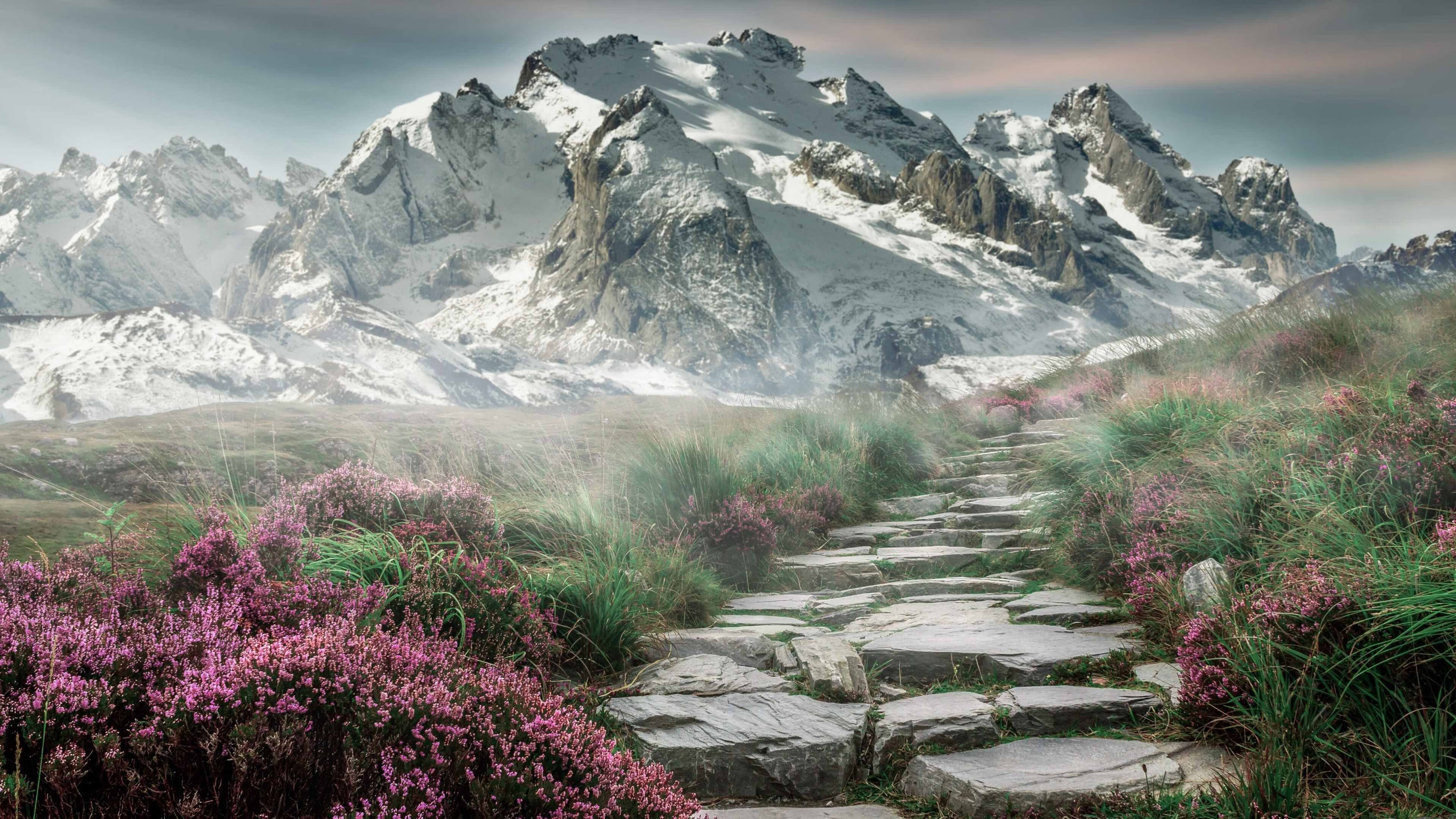 坚不可摧的东方壁垒,富安健洋在阿森纳对阵切尔西的焦点战中完成自我证明