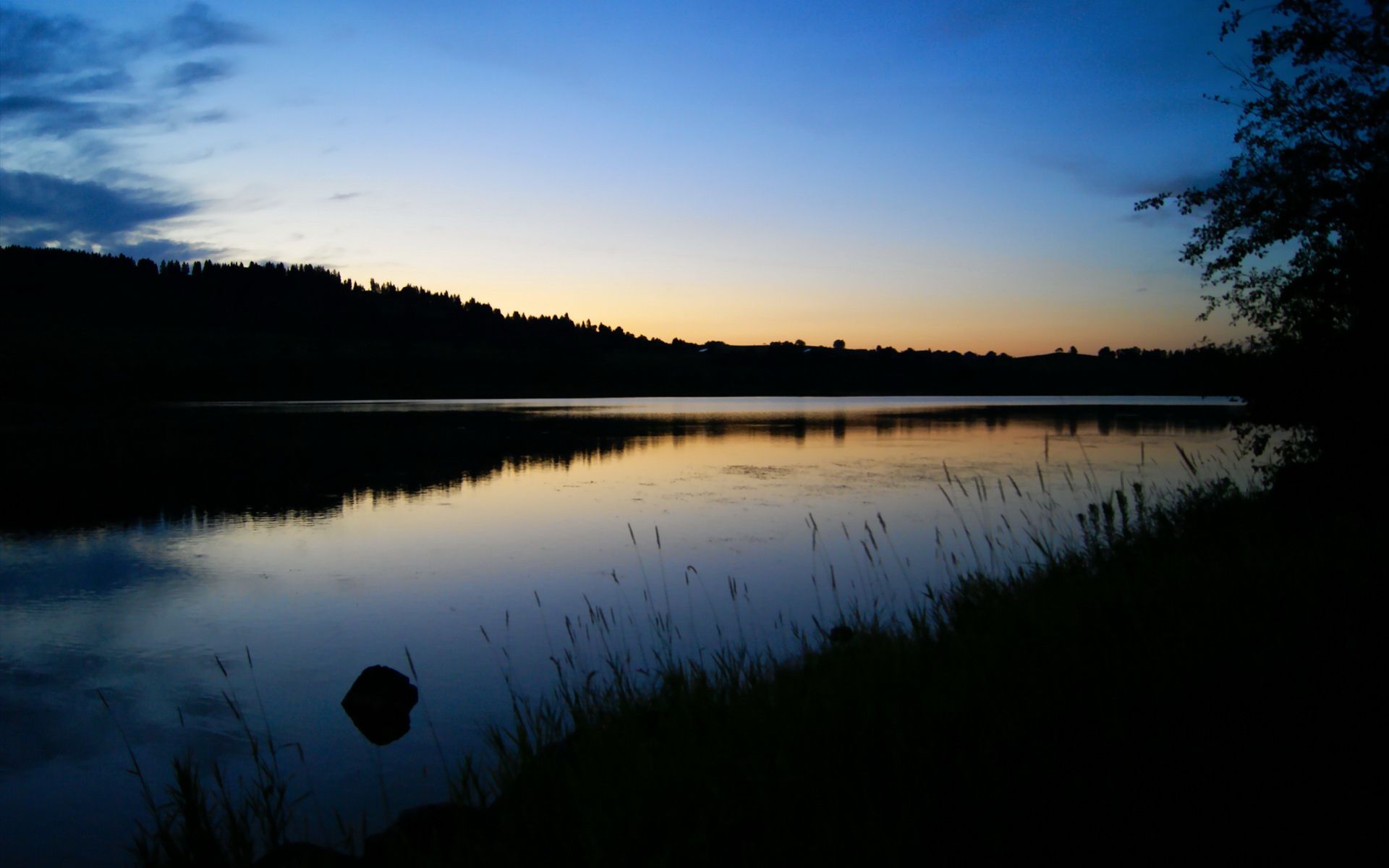 德里赫特，在波兰与突尼斯的棋局旁，一个荷兰幽灵的惊艳凝视