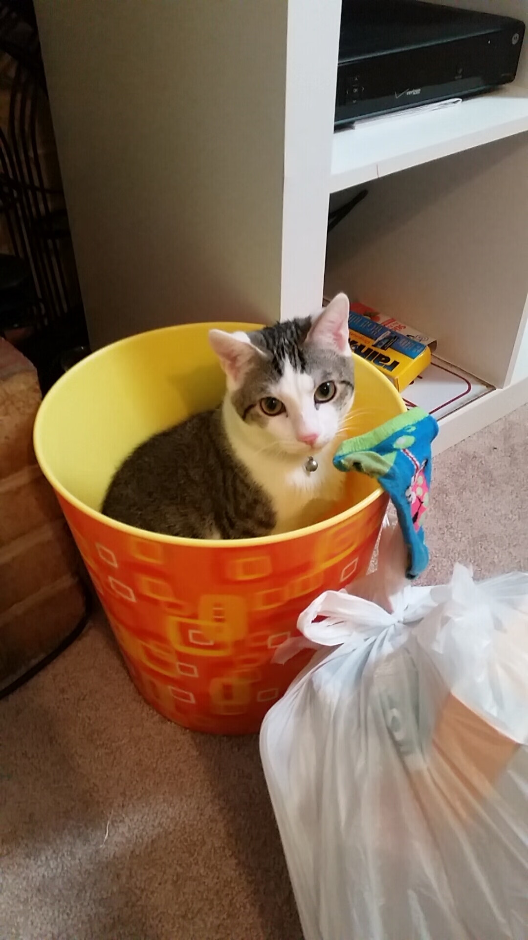 神预言！美加墨世界杯最戏剧性一战，菜鸟分析师竟提前一周画出阿根廷掀翻韩国路线图