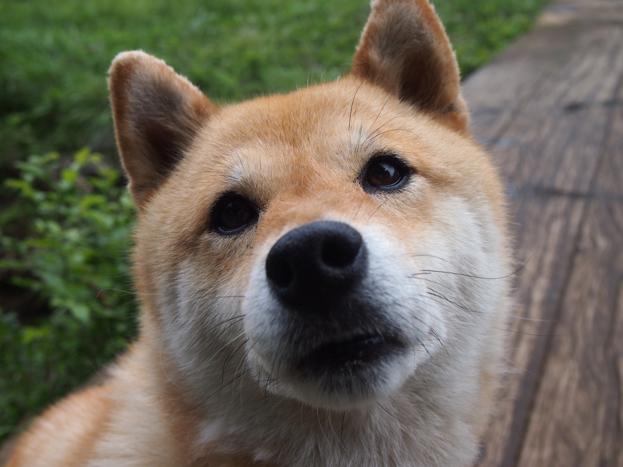 加冕夜,当本泽马为自己戴上那顶无声的皇冠