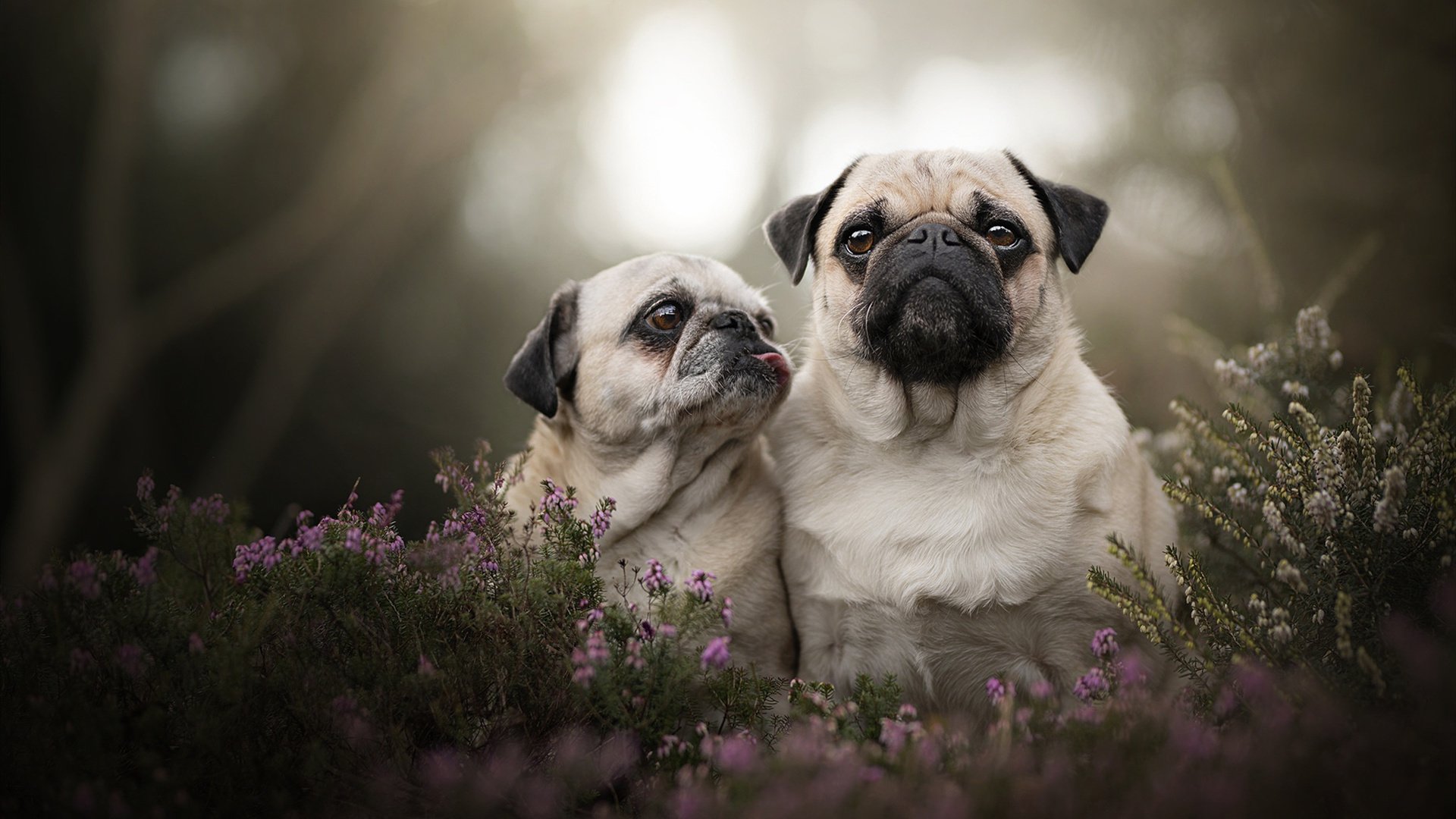 富安健洋，欧冠半决赛的隐形守护者，存在感拉满的夜晚
