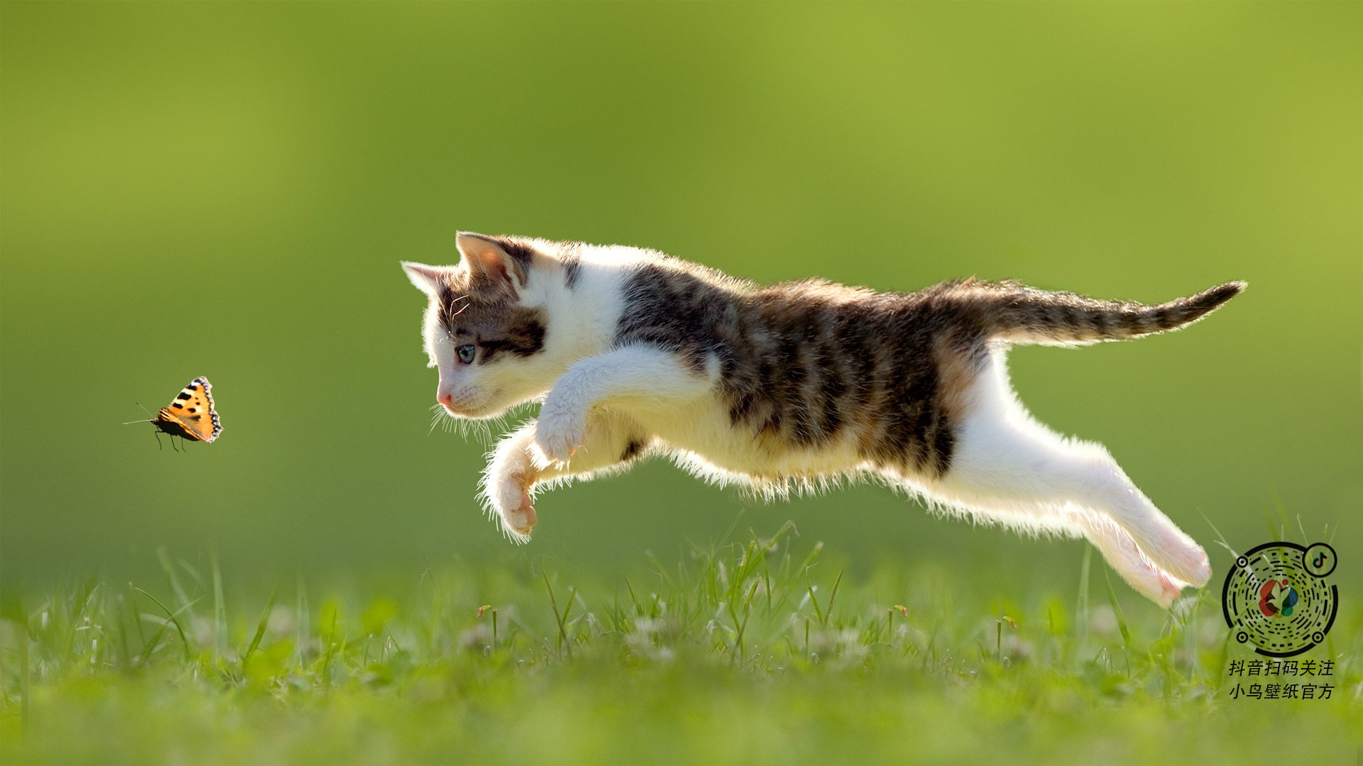 铁血防线上的艺术家，巴斯托尼冠军级表现助墨西哥硬仗擒希腊