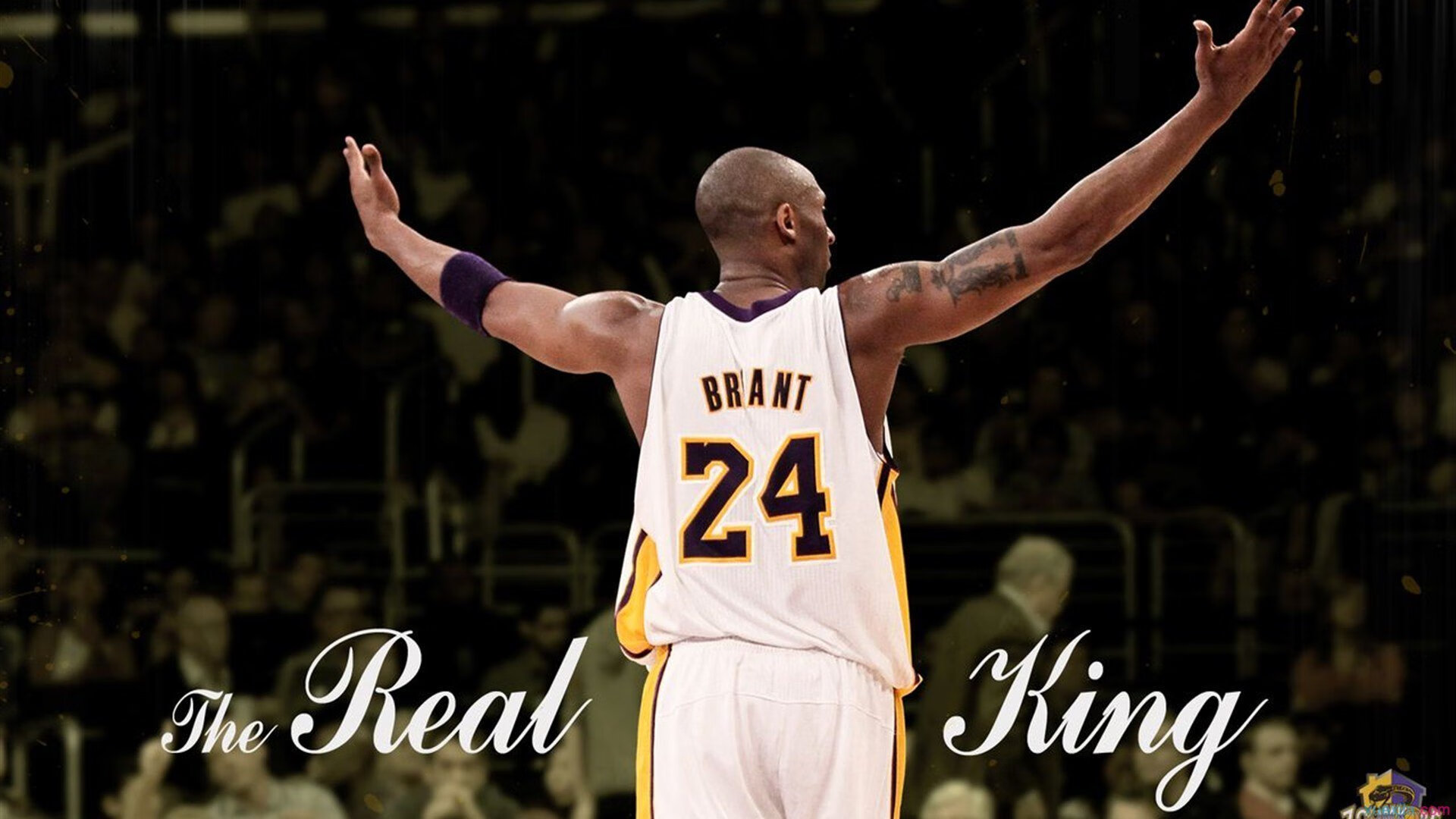 虚拟巅峰对决，吉林铁骑踏平丹佛高原，霍勒迪跨联盟接管年度焦点战