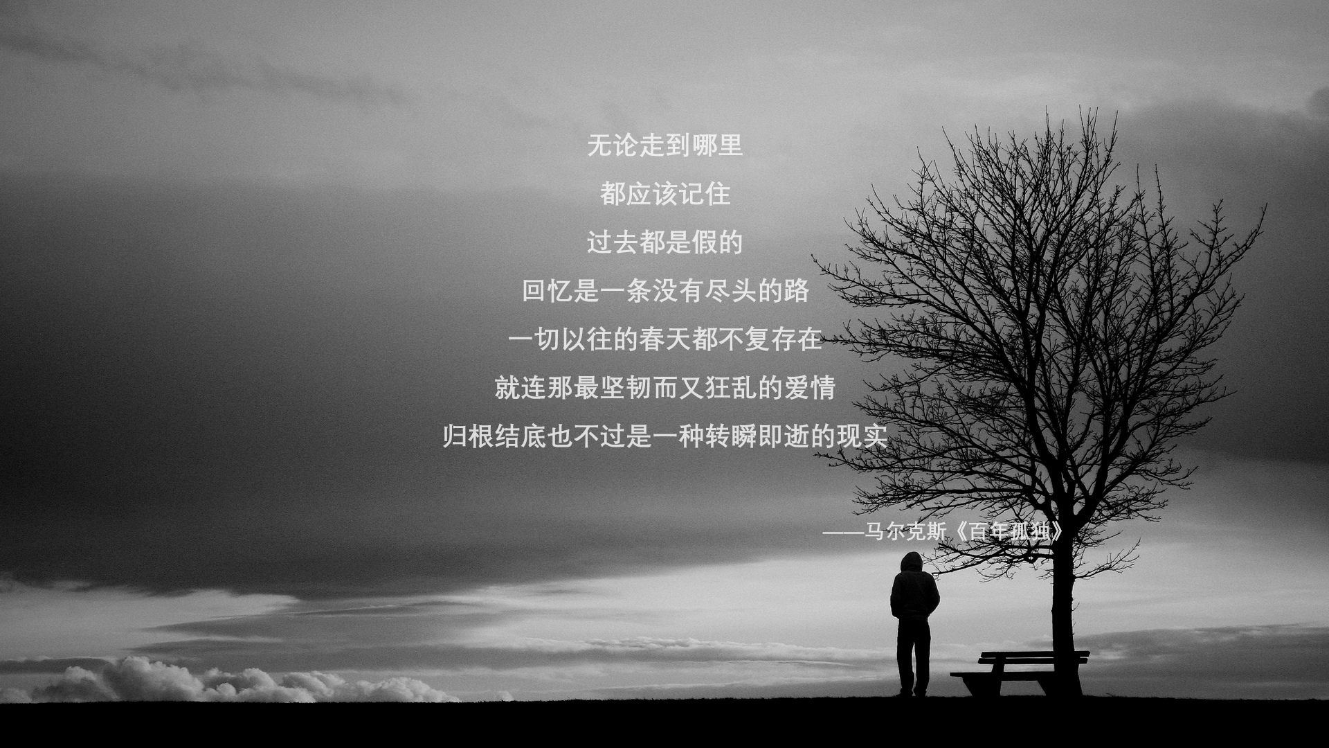 融合之地，独行侠的油门与戈贝尔的弯道—当篮球在F1街道接管比赛