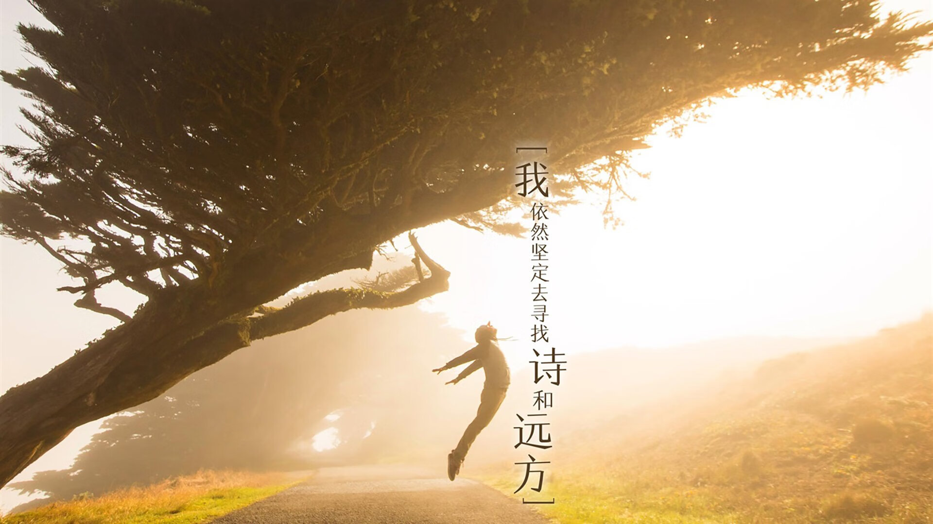 喀麦隆战锤击碎星辰,西亚卡姆在排名之夜重塑攻防法则