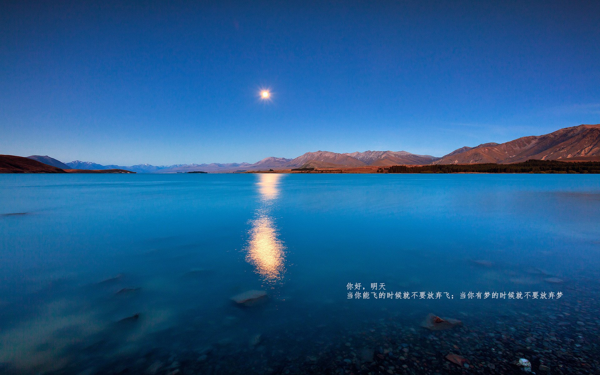 扩展思维后拟定的三个选项)