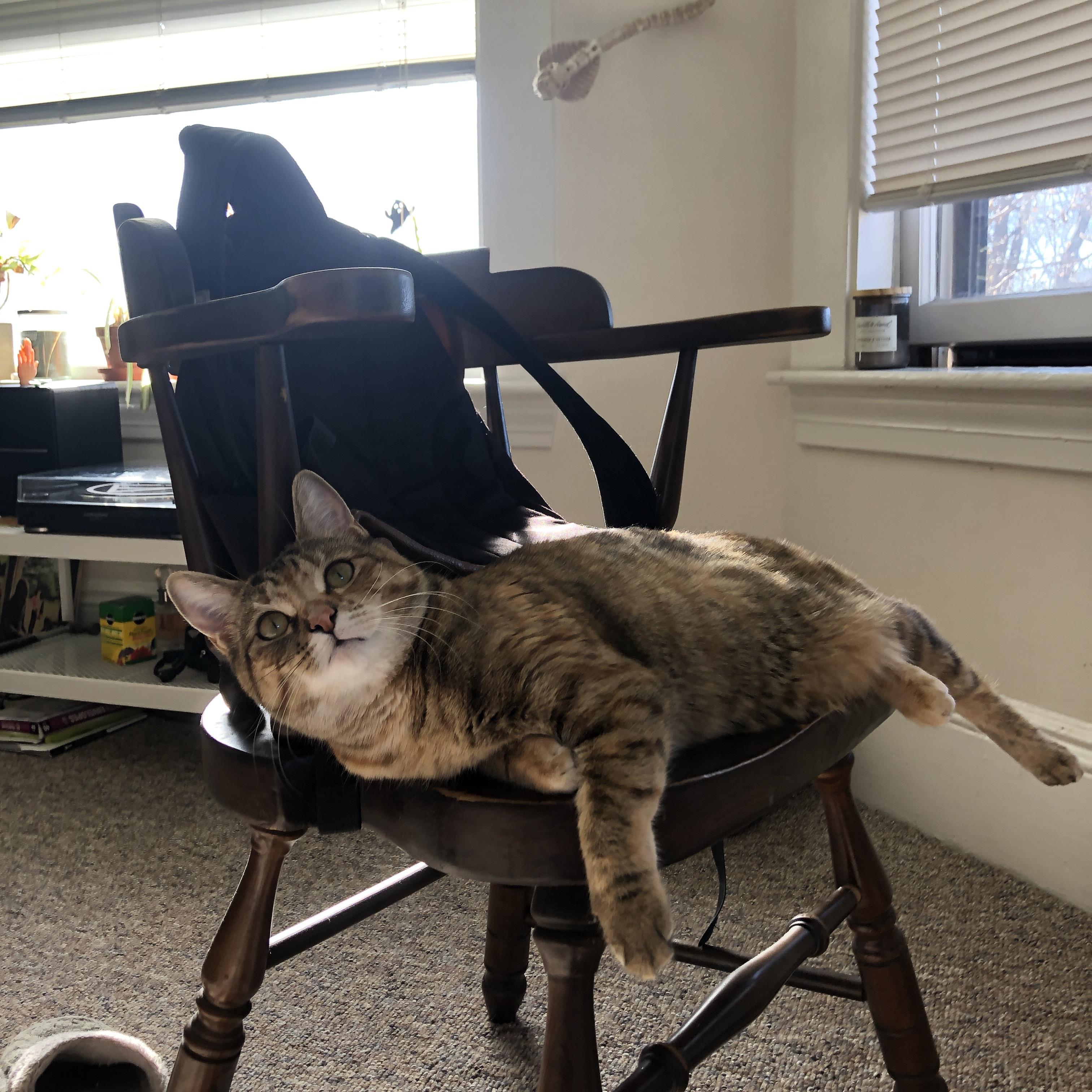 克敌圣城！贝林厄姆高能风暴席卷亚特兰大，中国智造幕后导演逆转奇迹