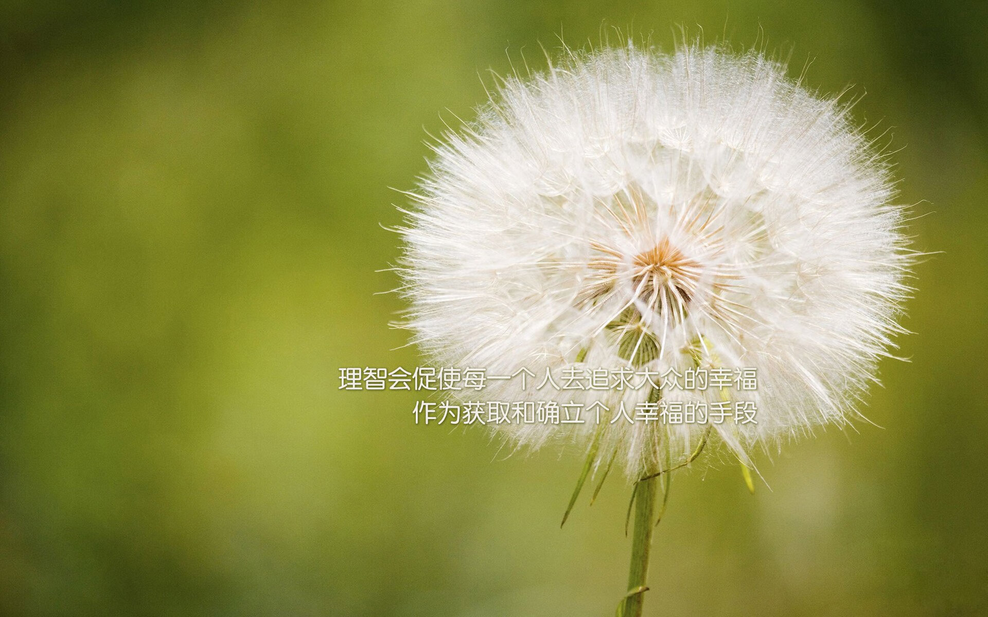 铁血风暴，织机之手，当广厦的碾压式防守遇见布伦森的冷血指挥