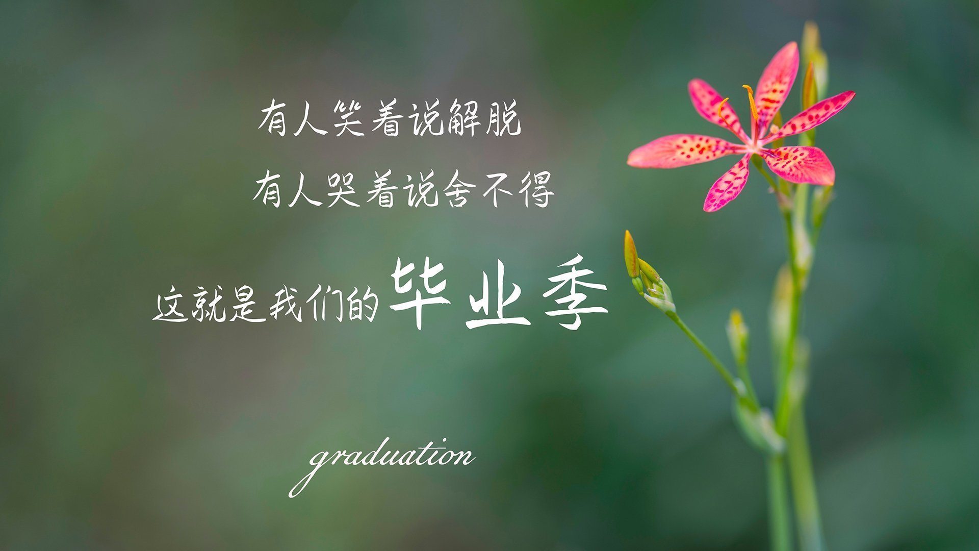以下是为您构思和撰写的文章