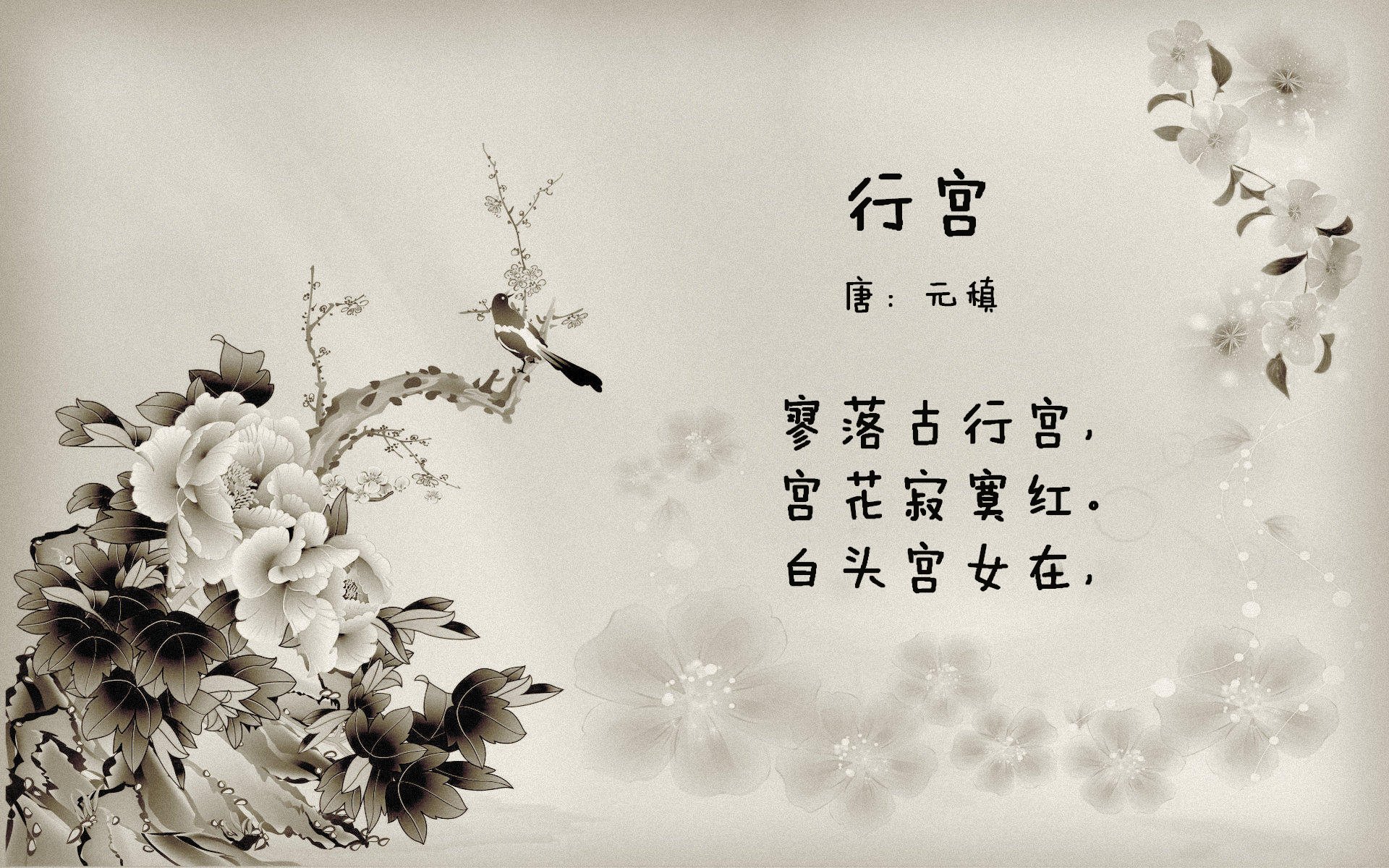 唯一的光,2026世界杯C组,塔雷米与罗马尼亚在硝烟中刻下的不朽瞬间